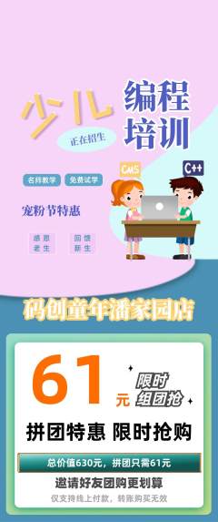 少儿编程拼团无阶梯团宠粉节活动配图海报