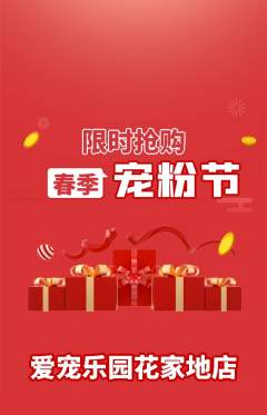 宠物店抢购满血版宠粉节活动配图海报