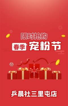 乒乓球馆抢购套组抢购宠粉节活动配图海报