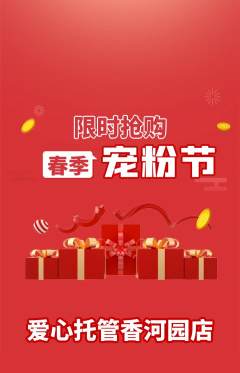 晚托班抢购满血版宠粉节活动配图海报