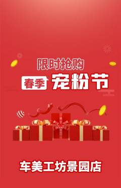 洗车抢购满血版宠粉节活动配图海报