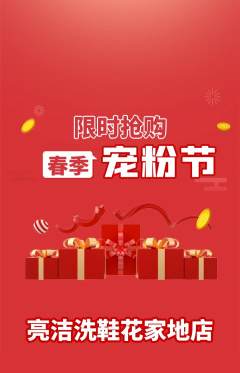 洗衣洗鞋抢购单品抢购宠粉节活动配图海报