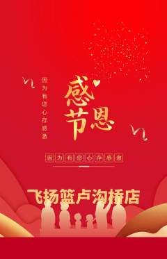 篮球馆抢购自选套组抢购感恩节活动配图海报