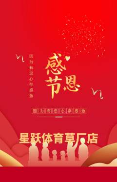 少儿体育抢购套组抢购感恩节活动配图海报