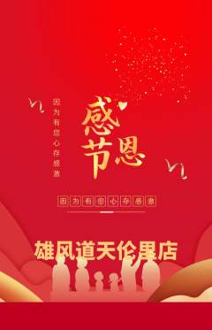 跆拳道抢购自选套组抢购感恩节活动配图海报