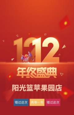 篮球馆抢购单品抢购双12活动配图海报