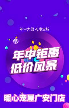 宠物店抢购多单品抢购年中大促活动配图海报