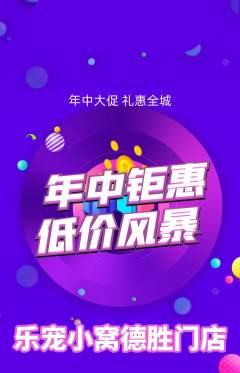 宠物店抢购单品抢购年中大促活动配图海报