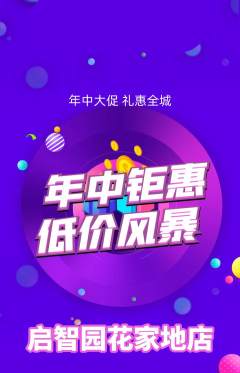 幼儿园抢购多单品抢购年中大促活动配图海报