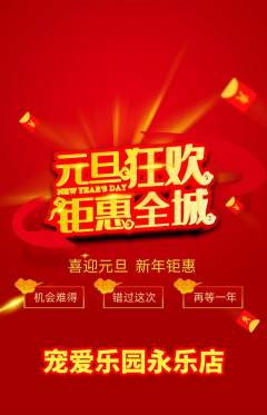 宠物店抢购套组抢购元旦活动配图海报