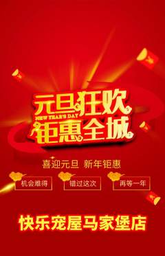 宠物店抢购单品抢购元旦活动配图海报