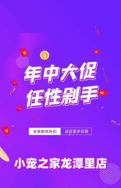 宠物店抢购套组抢购年中大促活动配图海报