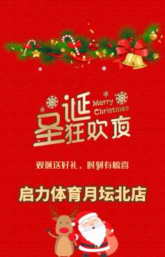少儿体育抢购单品抢购圣诞节活动配图海报