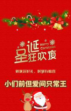 羽毛球馆抢购自选套组抢购圣诞节活动配图海报