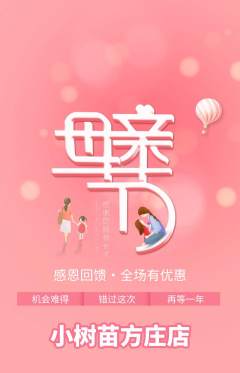 绘本馆抢购单品抢购母亲节活动配图海报