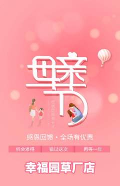 幼儿园抢购单品抢购母亲节活动配图海报