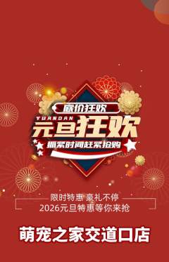 宠物店抢购满血版元旦活动配图海报