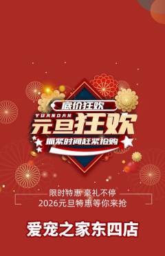 宠物店抢购自选套组抢购元旦活动配图海报