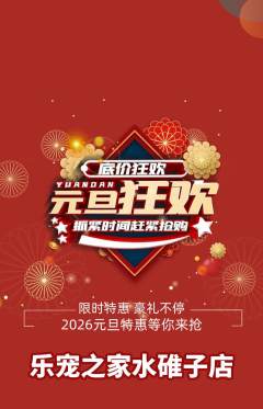 宠物店抢购单品抢购元旦活动配图海报