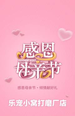 宠物店抢购单品抢购母亲节活动配图海报
