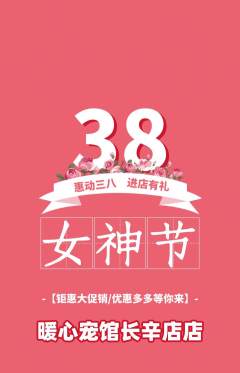 宠物店抢购自选套组抢购女神节活动配图海报