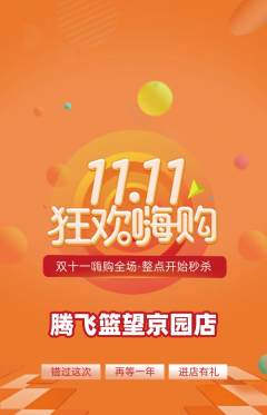 篮球馆抢购多单品抢购双11活动配图海报