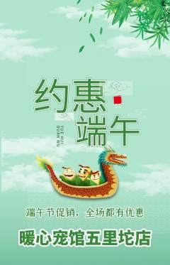 宠物店抢购多单品抢购端午节活动配图海报