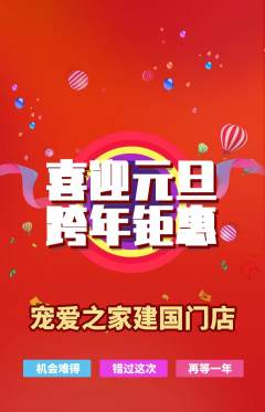 宠物店抢购多单品抢购元旦活动配图海报