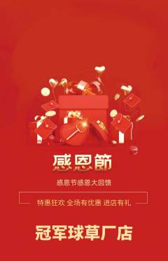 篮球馆抢购单品抢购感恩节活动配图海报