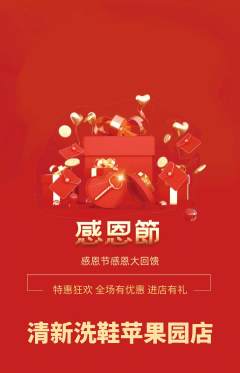 洗衣洗鞋抢购套组抢购感恩节活动配图海报