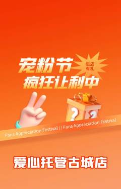 晚托班抢购多单品抢购宠粉节活动配图海报