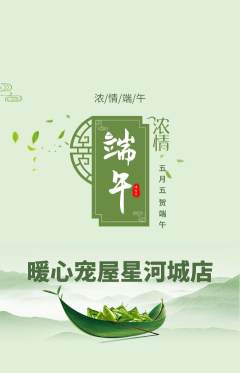 宠物店抢购满血版端午节活动配图海报