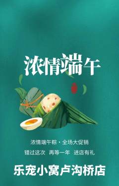 宠物店抢购满血版端午节活动配图海报