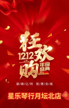 少儿乐器抢购单品抢购双12活动配图海报
