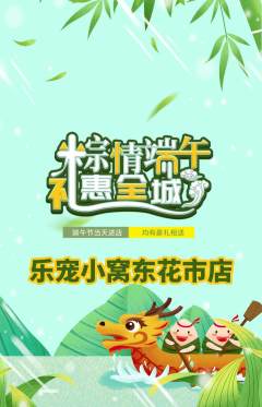 宠物店抢购单品抢购端午节活动配图海报