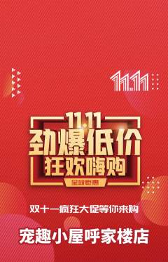 宠物店抢购自选套组抢购双11活动配图海报