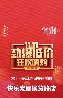 宠物店抢购单品抢购双11活动配图海报