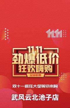 跆拳道抢购多单品抢购双11活动配图海报