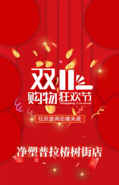 普拉提抢购多单品抢购双11活动配图海报