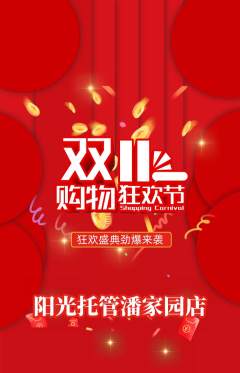晚托班抢购单品抢购双11活动配图海报