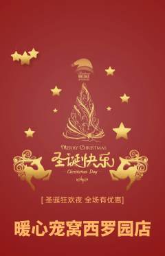 宠物店抢购多单品抢购圣诞节活动配图海报