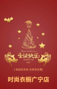服饰鞋帽抢购多单品抢购圣诞节活动配图海报