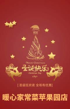 家常菜抢购满血版圣诞节活动配图海报