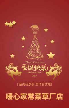 家常菜抢购自选套组抢购圣诞节活动配图海报