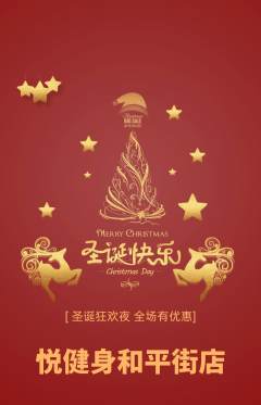 健身馆抢购套组抢购圣诞节活动配图海报