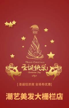美发抢购单品抢购圣诞节活动配图海报