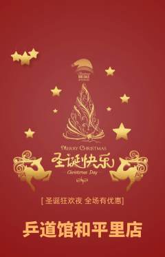 乒乓球馆抢购单品抢购圣诞节活动配图海报
