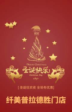 普拉提抢购自选套组抢购圣诞节活动配图海报