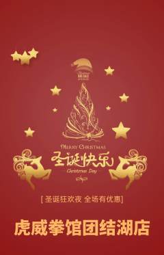 拳击格斗抢购套组抢购圣诞节活动配图海报