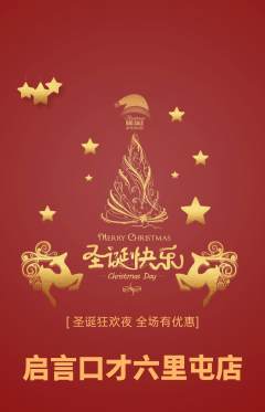 少儿口才抢购满血版圣诞节活动配图海报